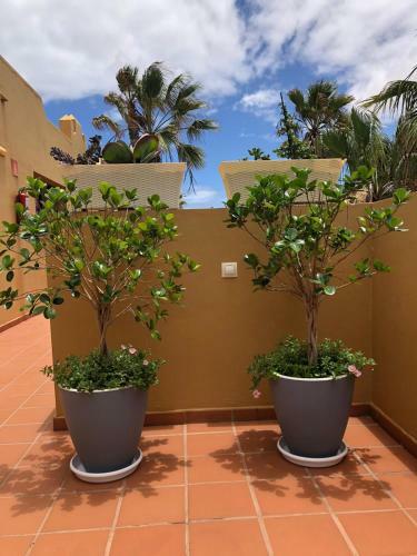 Apartamento Casa Molly