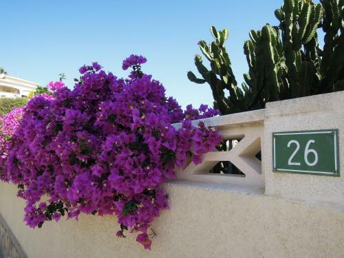 Villa Vista