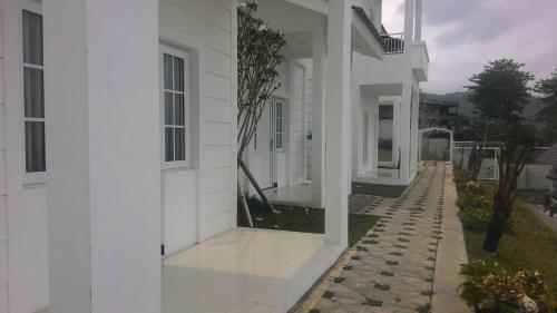 Posada Amaranta Guest House