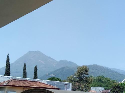 Orchid Boutique Villa