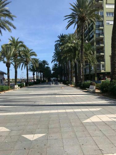 Apartamento Estudios Ram�n Llull