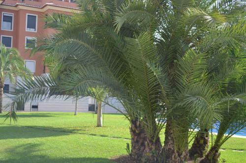 Apartamento Jardines De Las Marinas - Royal Suite