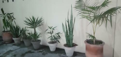 Apartamento Homewood Suite - Two Bedroom Appartment