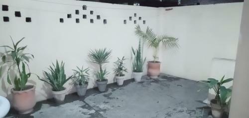 Apartamento Homewood Suite - Two Bedroom Appartment