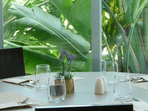 Apartamento Ogisaka Garden Spa Mar Naturaleza