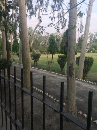 Spacious Apartment In Johar Town