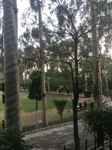 Spacious Apartment In Johar Town