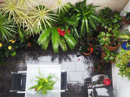 Apartamento Denia Townhouse