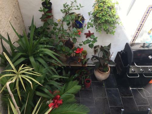 Apartamento Denia Townhouse