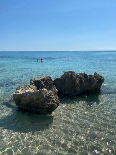 Apartamento Mar J�nica