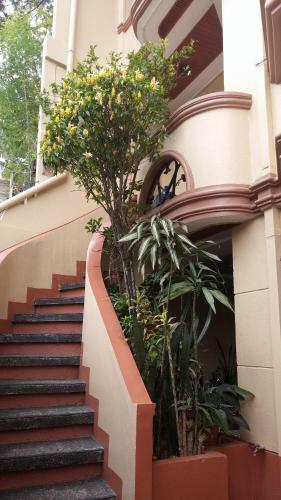 Jabbitos Baguio Transient House 1