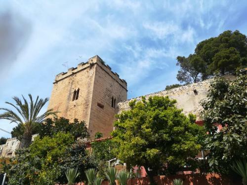 Apartamento Estudio En El Centro De Denia