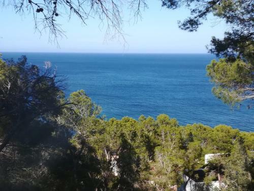 Apartamento Estudio En El Centro De Denia