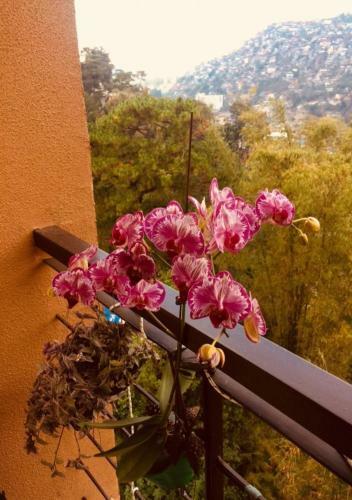 Apartamento D' Courtyards Peak-corner Pinestay - At Goshenland Baguio