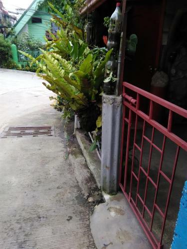 Apartamentos Havilah House Transients