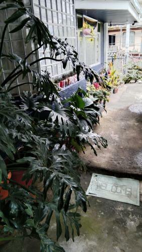 Apartamentos Havilah House Transients
