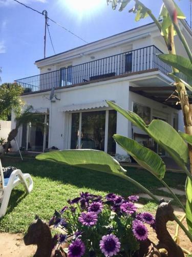 Villa Ofiuco