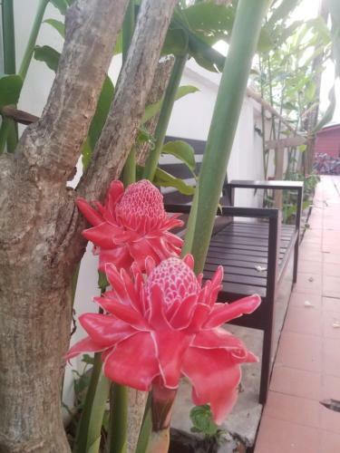 Hotel Alana Luang Prabang