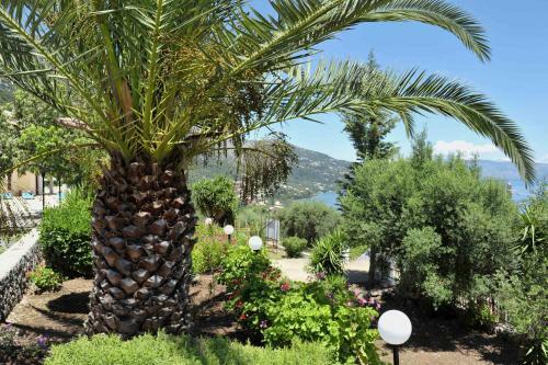 Apartamento Bbb - Barbati Blick Bungalows