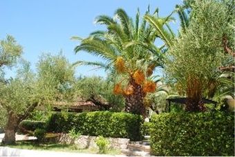 Hotel Lofos Strani