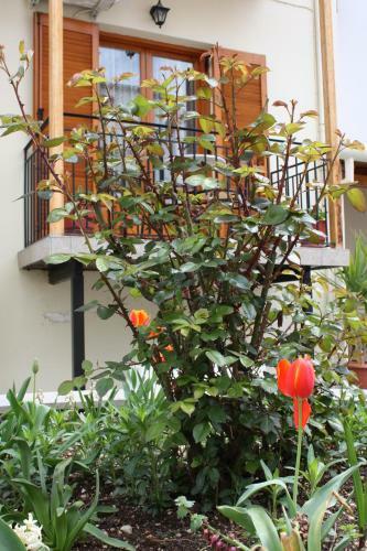 Hotel Pension Sakis