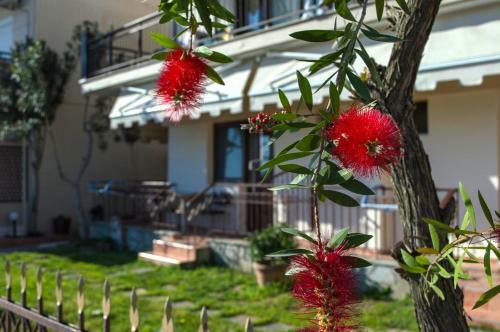 Apartamento Dimitra House