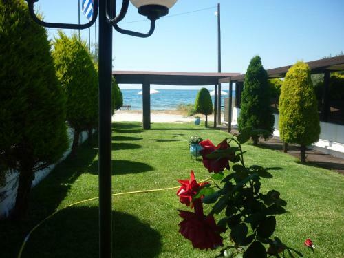 Aparthotel Hotel Dimitra