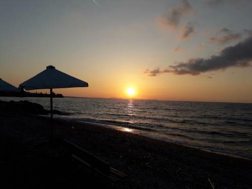 Aparthotel Hotel Dimitra