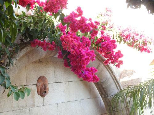 Hostal Nikos Rooms