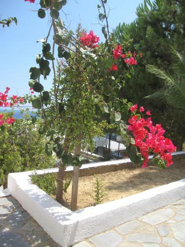 Apartamento Travlos Studios