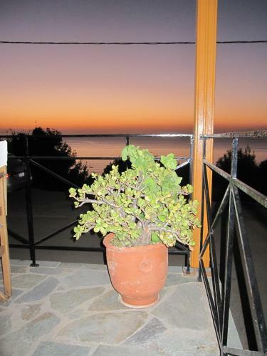Apartamento Travlos Studios