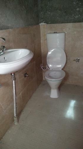 Hostal Freedom Palace