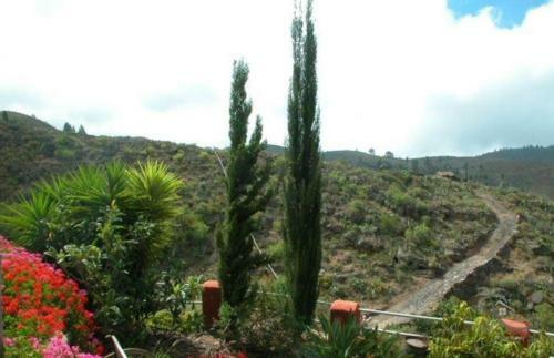Casa Verde