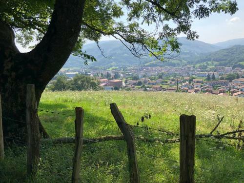 Zubitarte