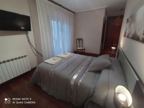 Pedroenea Apartamento Elizondo