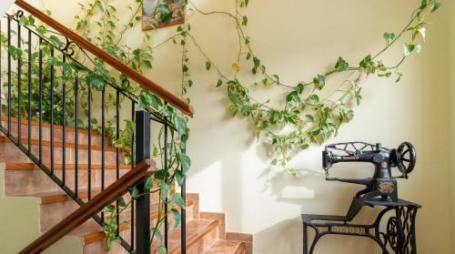 UNA Casa Con Vistas En Mula