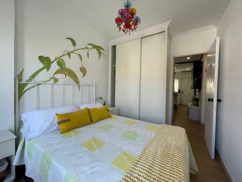 Apartamento En � Pindo