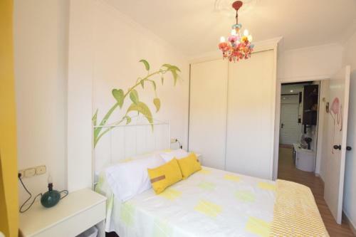 Apartamento En � Pindo