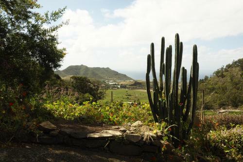 Hostal Finca Flor De Ciruelo
