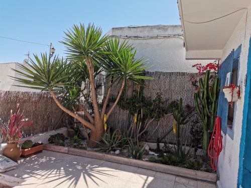 Hab. Privada Cabo De Gata