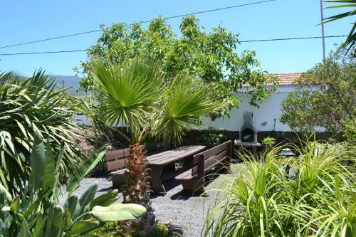 Apartamento Finca Primavera