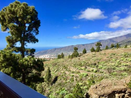 Apartamento Catalino I