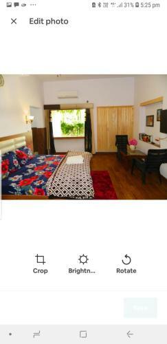 Bed & Breakfast The Ficus