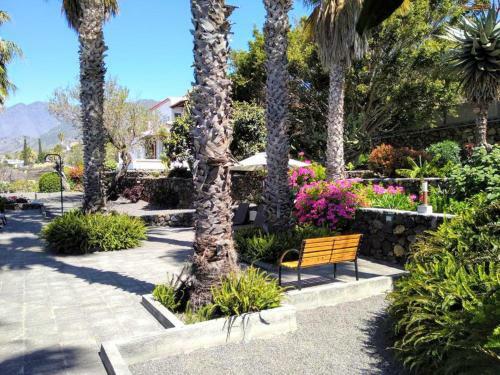 Apartamento Bellavista
