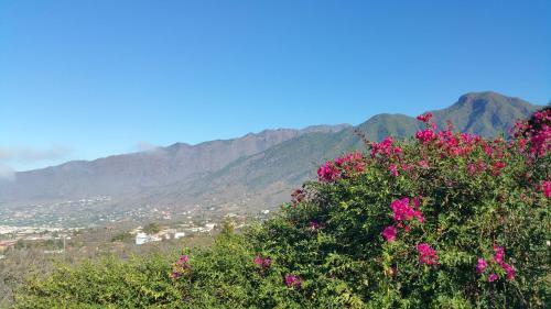 Villa Don Miguel