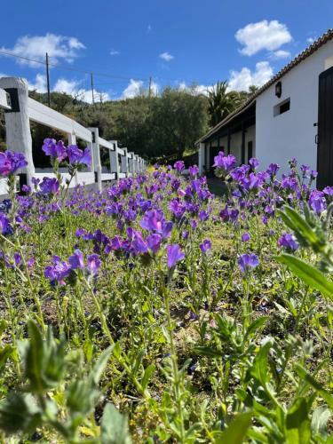 Villa Monta�a Colorada