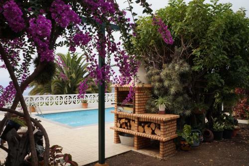 Casa Aloe