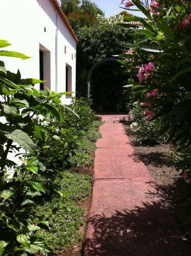Bungalow La Datura