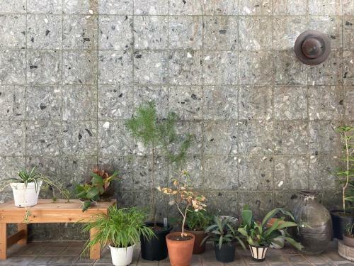 Hostal J-hoppers Beppu Guesthouse ????????????????