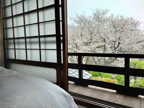 Hostal Guesthouse Sakichi